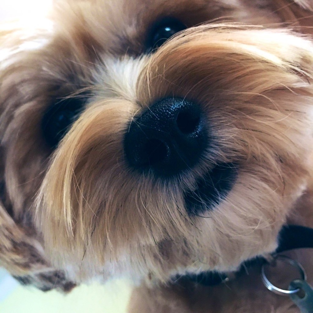 ❤️ - Picture 12 of 14